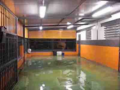 Zona de lavado y terminación